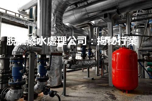 脫硫廢水處理公司：揭秘行業(yè)內(nèi)幕與以后趨勢？